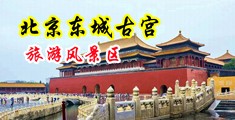 男女日pp中国北京-东城古宫旅游风景区